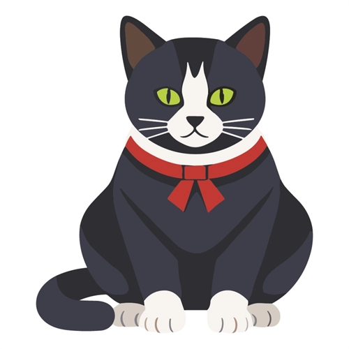 Cat Lovers Theme Tuxedo Cat Transparent Sticker